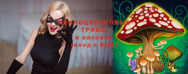 спайс Алзамай