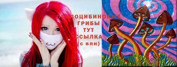 спайс Алексин