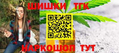 МДПВ Бердск