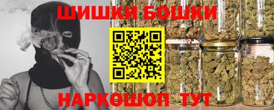 МДПВ Бердск