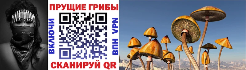 MEGA ССЫЛКА  дарнет шоп  Алушта  Псилоцибиновые грибы Magic Shrooms 