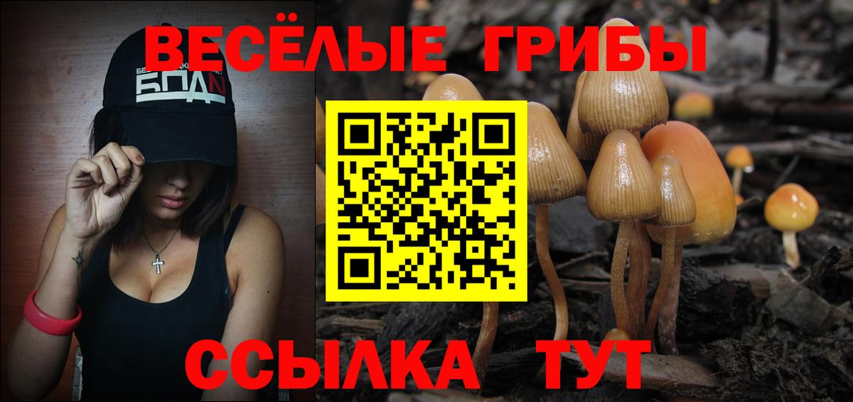 Галлюциногенные грибы Psilocybine cubensis Алушта