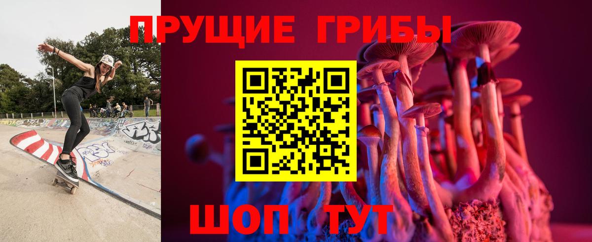 Алушта  Псилоцибиновые грибы мицелий  Вход с VPN 